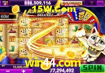 Experiência VIP win44.com